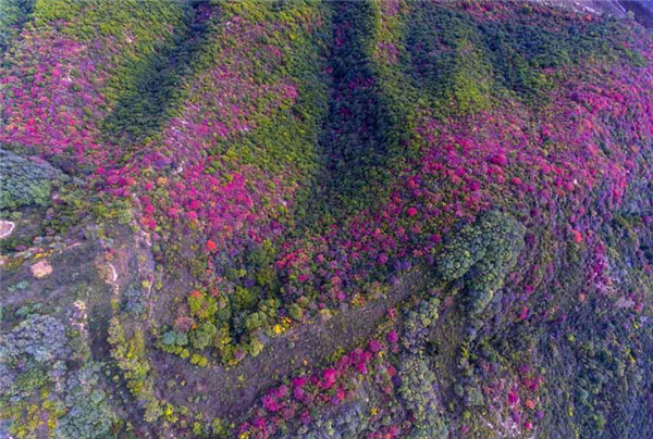 山西省平陸県 紅葉した山に囲まれる大河廟ダム
